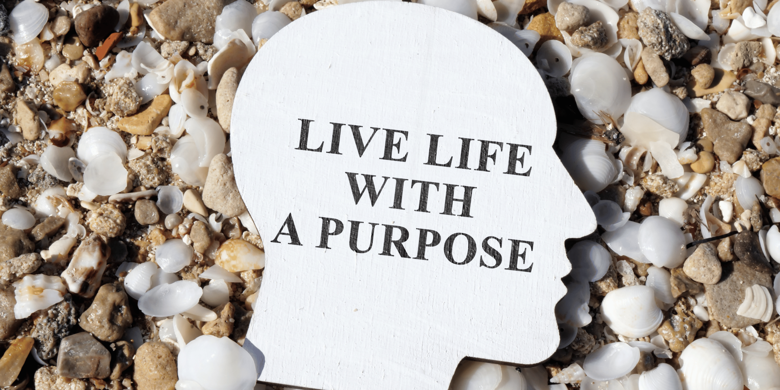 Ways To Live A Purpose-Driven Life